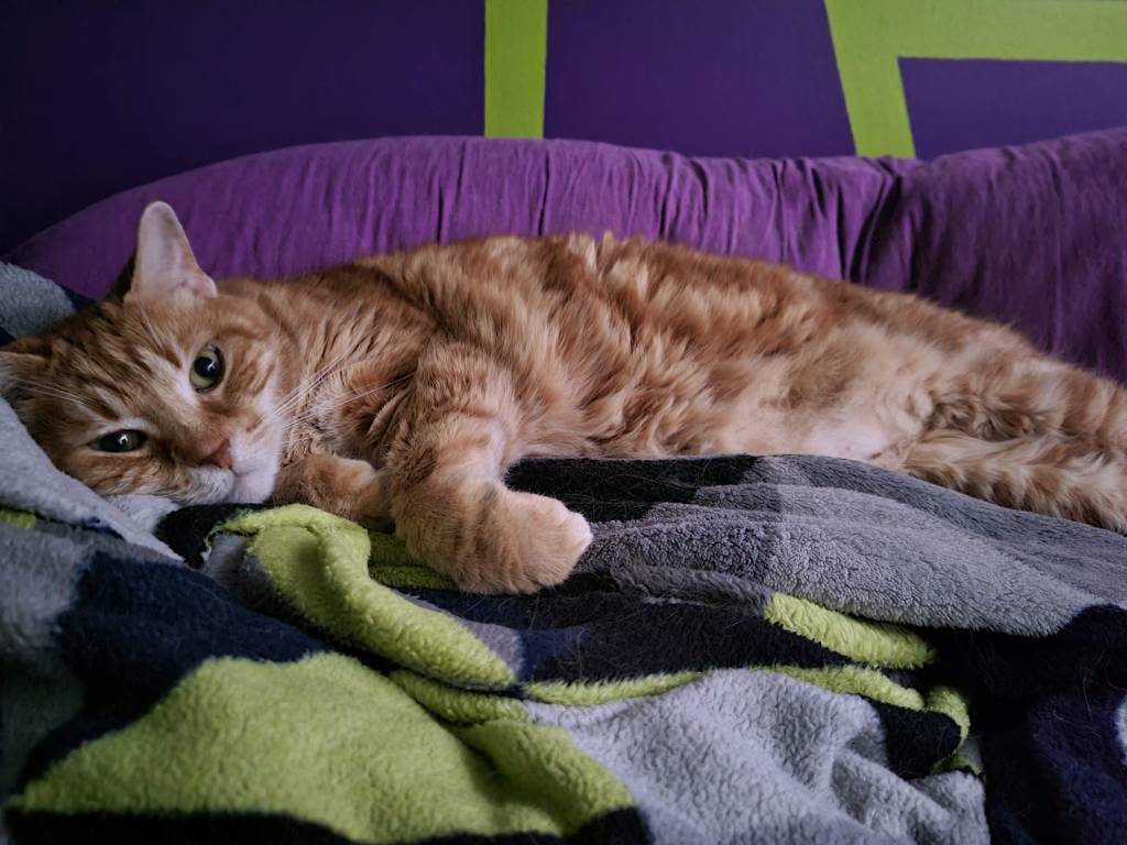 Thoughts on Grief (Part Two)